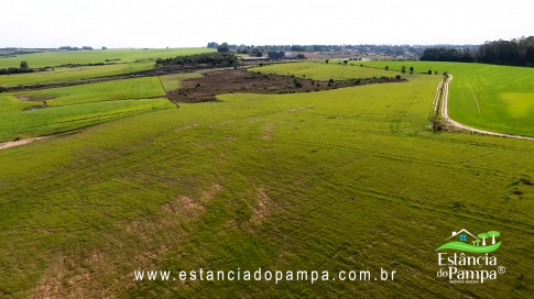 48 HA NO RS.00_02_47_28.Quadro013_f8ed508b28cf94ccf15733dc4bfb73887bc557b0.png